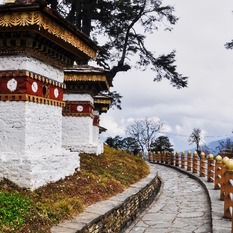 Stork Billed Kingfisher
