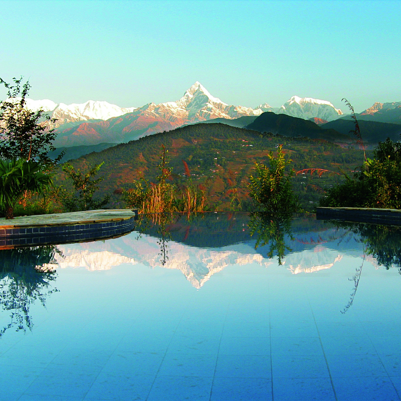 Stork Billed Kingfisher