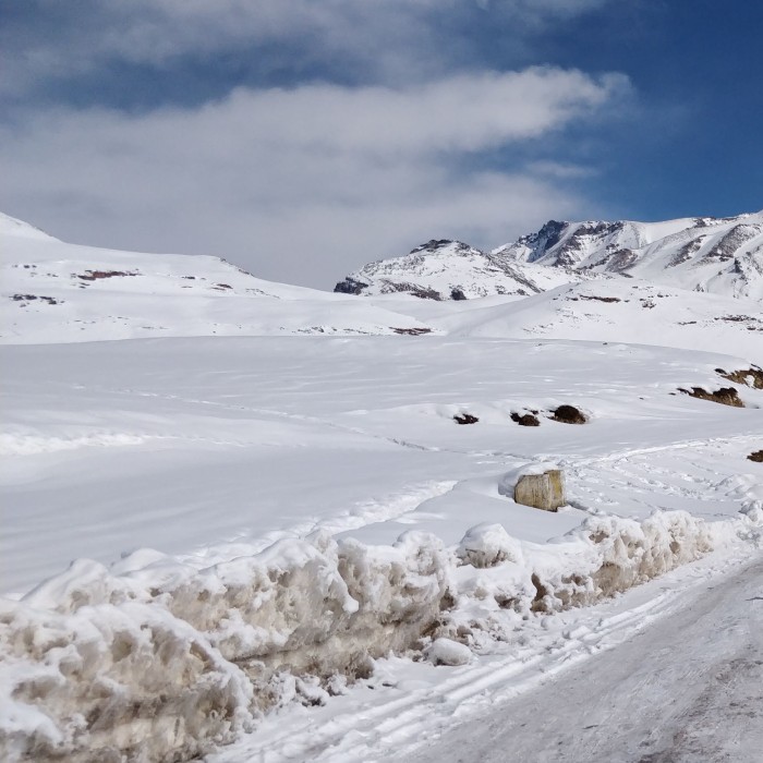Stork Billed Kingfisher